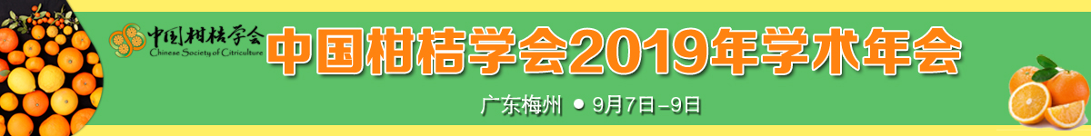 导航下方横条广告